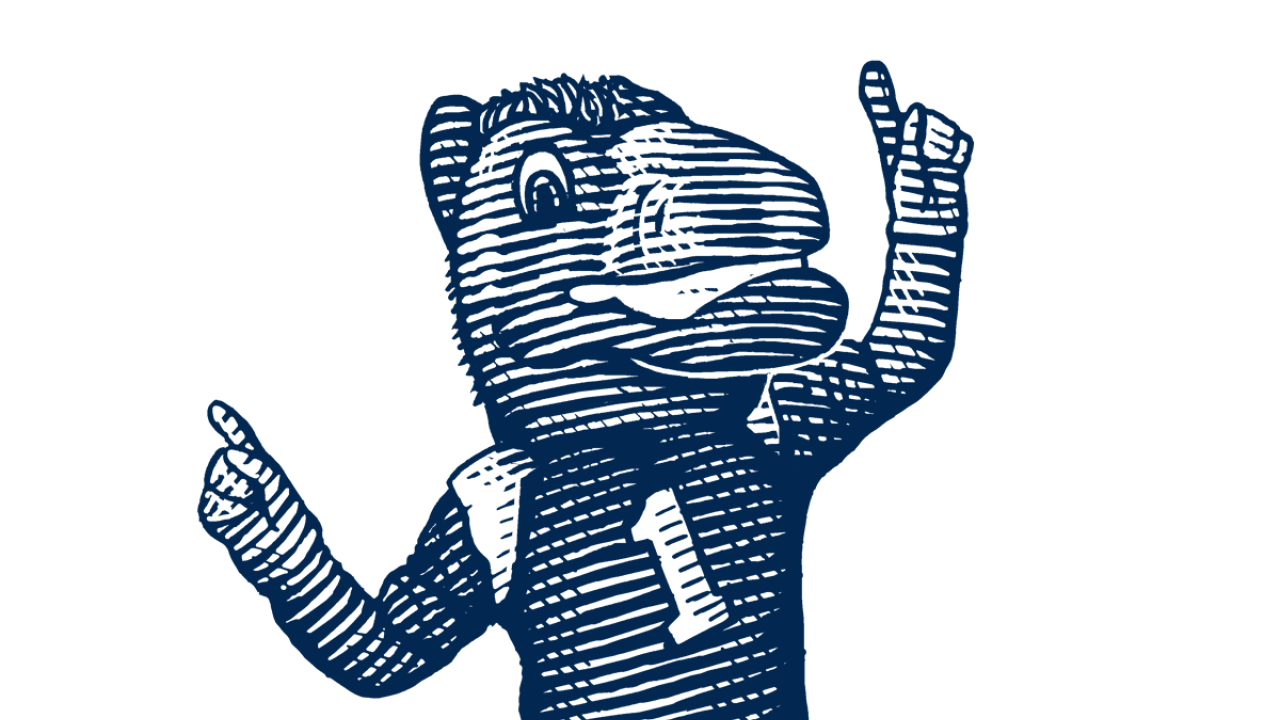 illustration of the uc davis mascot gunrock
