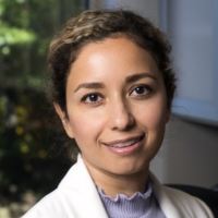 Portrait of Setareh Rafatirad